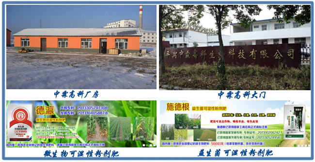 叶面肥亚虎网页机客户工厂