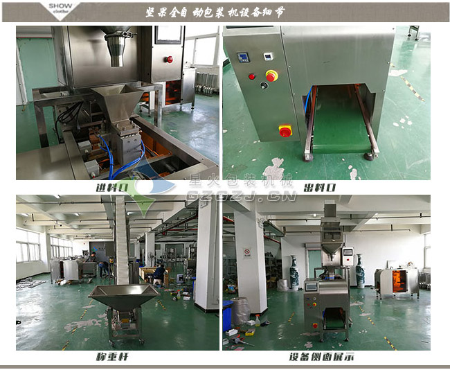 坚果全自动亚虎网页机